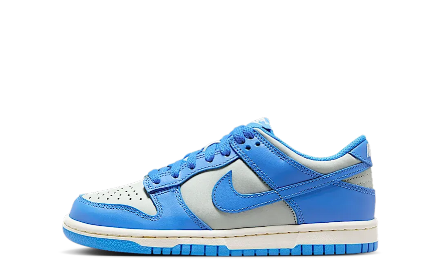 Nike Dunk Low Light Silver Sail Light Photo Blue — estil urbà i màxima comoditat