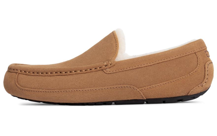 UGG Ascot Slipper Chestnut: the wool slipper that transforms your days