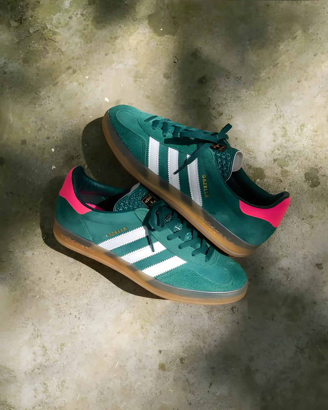 Gazelle steps online