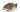 Adidas Campus 00s Earth Strata - JI1038 - View 2 | Next Step