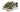 Adidas Campus 00s Olive Strata White Gum (GS) - ID1418 - View 2 | Next Step