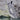 Adidas Yeezy Boost 380 Alien - FV3260 - View 5 | Next Step