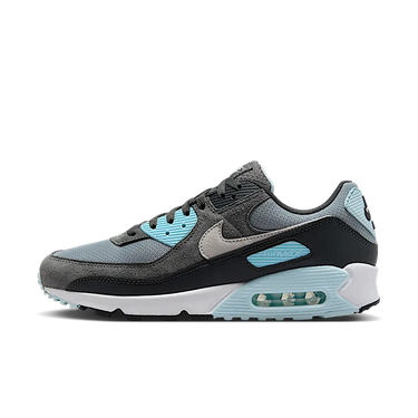 Nike Air Max 90 Light Pumice Smoke Grey - DM0029-009 - View 1 | Next Step