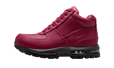 Nike Air Max Goadome DMV - IQ0610-633 - View 1 | Next Step