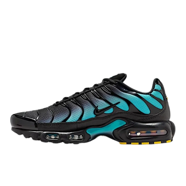Nike Air Max Plus Black Dusty Cactus | Next Step
