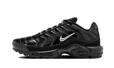 Nike Air Max Plus Black Volt Silver - FJ2591-001 - View 1 | Next Step