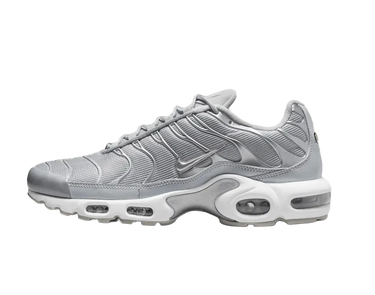 Nike Air Max Plus Metallic Silver - FJ1012-095 - View 1 | Next Step