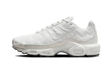 Nike Air Max Plus Reflective Platinum - FZ4342-001 - View 1 | Next Step