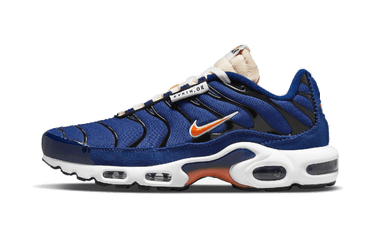 Nike Air Max Plus SE Air Max Running Club | Next Step