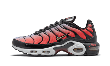 Nike Air Max Plus Sisterhood - DO6115-500 - View 1 | Next Step