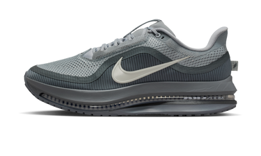 Nike Air Zoom Pegasus Premium Wolf Grey - HQ2592-013 - View 1 | Next Step