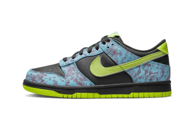 Nike Dunk Low Acid Wash - DV1694-900 - View 1 | Next Step