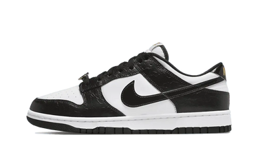 Nike Dunk Low World Champ - DR9511-100 - View 1 | Next Step