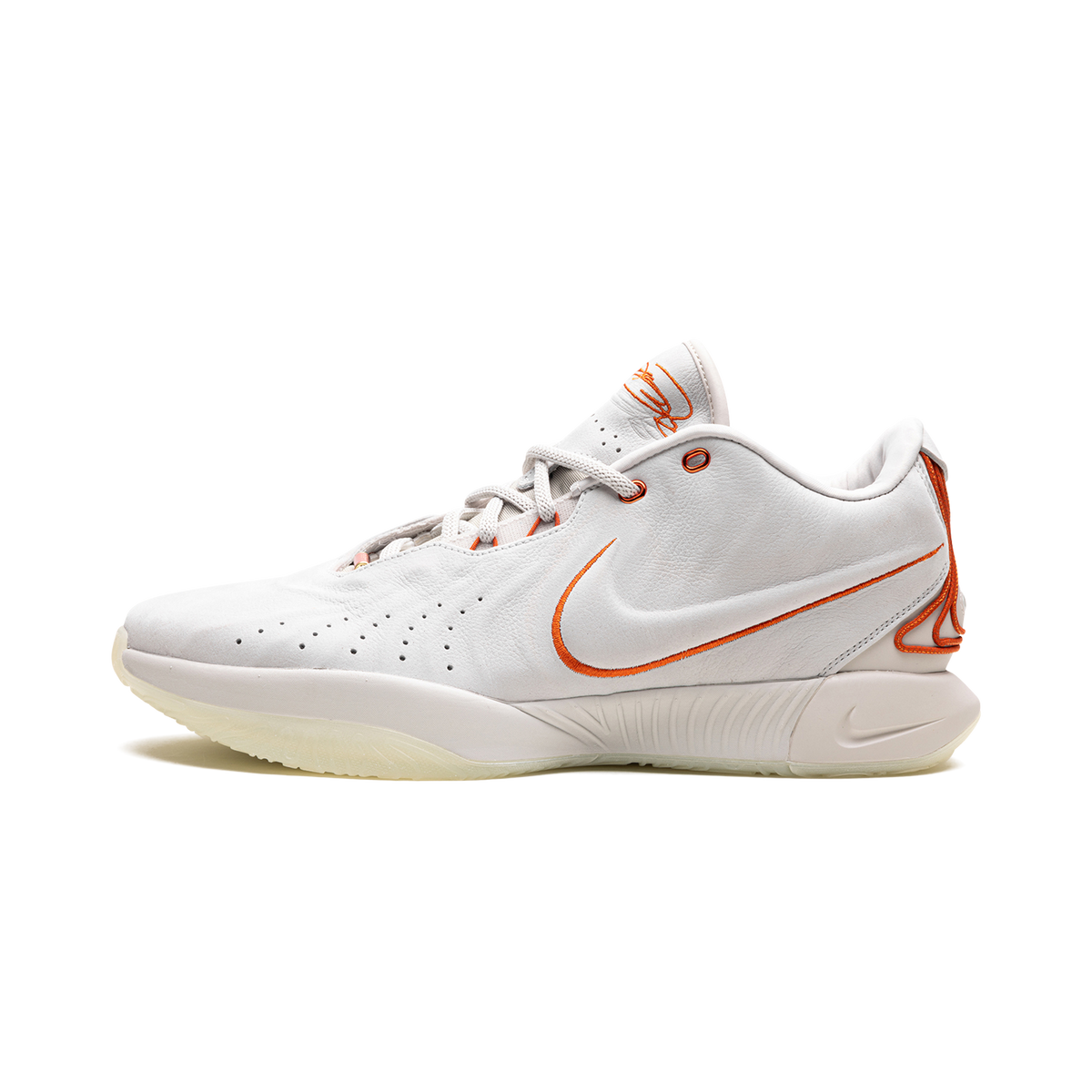 Nike LeBron 21 Akoya
