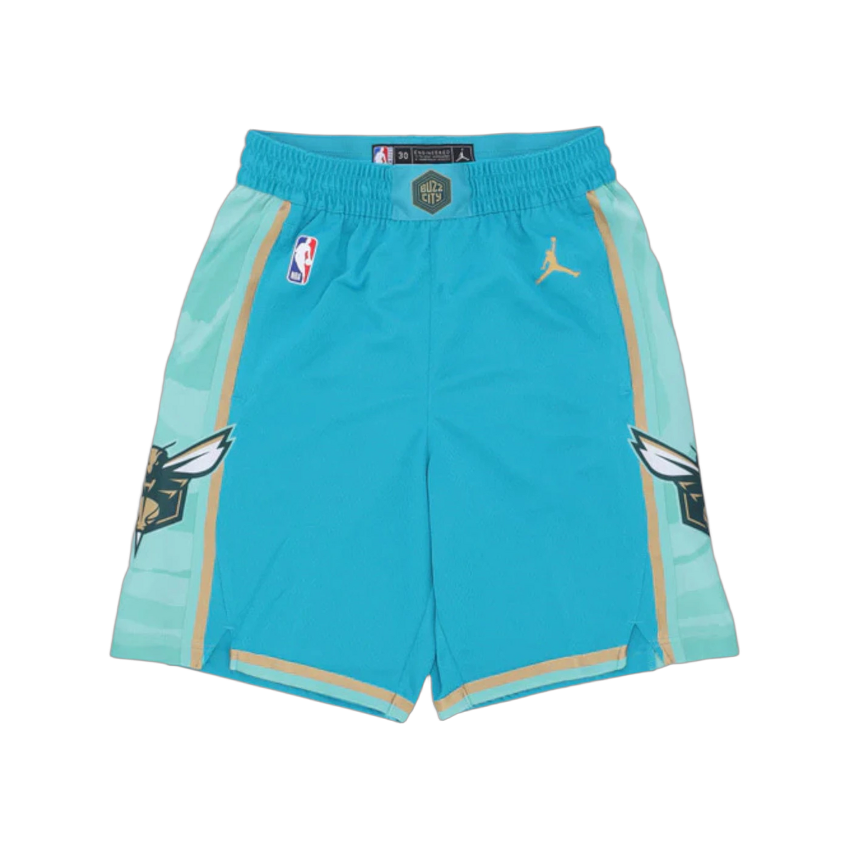 Nike NBA Charlotte Hornets City Edition 2023/24 Swingman shorts Teal/Club Gold