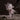 Pop Mart SKULLPANDA The Paradox Series Figures (12 Blind Box) - skullpanda-paradox-sbx-skullpanda-paradox-wst - View 6 | Next Step
