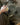 Salomon XT-6 Black Coffee - L47690400 - View 2 | Next Step
