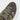 Adidas Campus 00s Shadow Olive Orbit Green