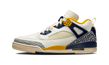 Air Jordan Spizike Low Michigan