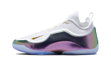 Nike LeBron 23 Elite For The Record