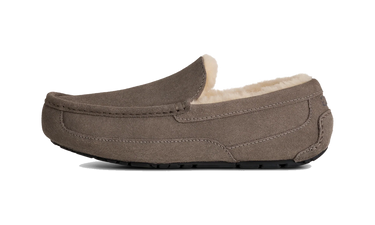 UGG Ascot Slipper Grey