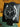 Special Edition - Swatch x Omega Bioceramic Moonswatch Mission to Ostrich Moon