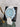 Swatch x Omega Bioceramic Moonswatch Mission to Ostrich Uranus (Special Edition) - SO33L100C - View 9 | Next Step