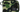 BAPE x Porter ABC Camo Mini Wallet Green