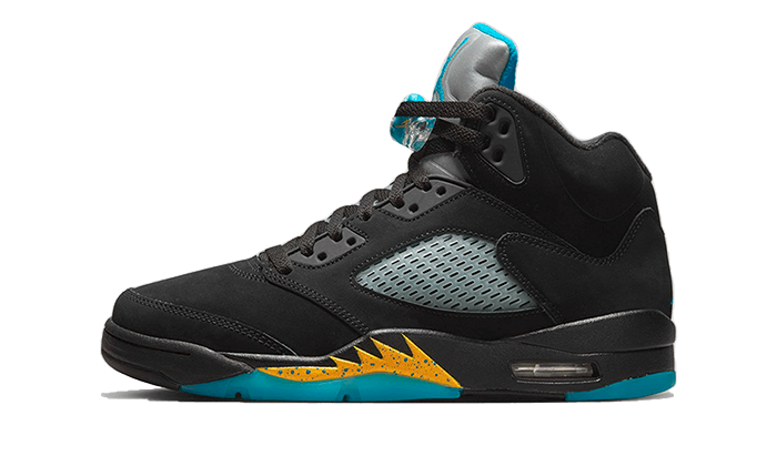 Air Jordan 5 Aqua Next Step