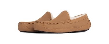 UGG Ascot Slipper Chestnut Next Step