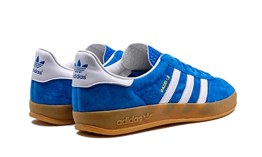Adidas Gazelle Indoor Blue Bird Cloud White
