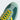 Adidas SL 72 Active Green Yellow - JH7391 - View 8 | Next Step