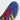 Adidas Samba Club América - View 9 | Next Step