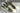 Adidas Superstar Bape ABC Camo Green - GZ8981 - View 4 | Next Step
