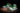 Air Jordan 1 Low Pine Green - 553558-301 - View 4 | Next Step