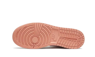 Air Jordan 1 Mid Light Madder Root Next Step