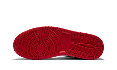 Air Jordan 1 Mid SE USA