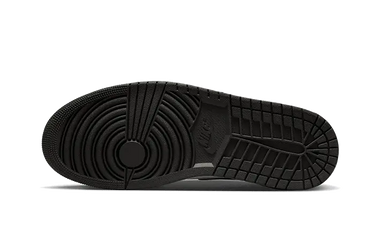 Air Jordan 1 Mid SE Wear-Away Chicago Next Step