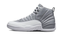 Air Jordan 12 Stealth