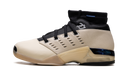 Air Jordan 17 Retro Low SP Infinite Archives