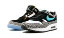 Air Jordan 3 Retro & Nike Air Max 1 atmos Pack