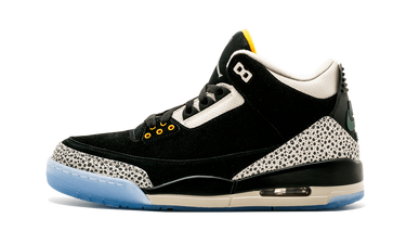 Air Jordan 3 Retro & Nike Air Max 1 atmos Pack
