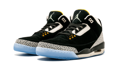 Air Jordan 3 Retro & Nike Air Max 1 atmos Pack