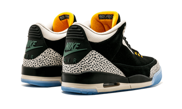 Air Jordan 3 Retro & Nike Air Max 1 atmos Pack