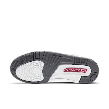 Air Jordan 3 Retro Cool Grey (2021)