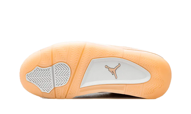 Air Jordan 4 Shimmer (W) Next Step