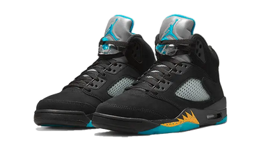 Air Jordan 5 Aqua Next Step