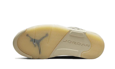 Air Jordan 5 Low Expression