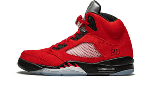 Air Jordan 5 Retro What The