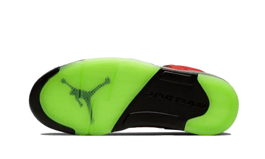 Air Jordan 5 Retro What The